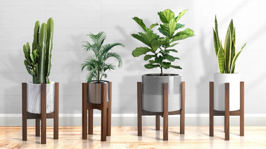What is a Plant Rack?