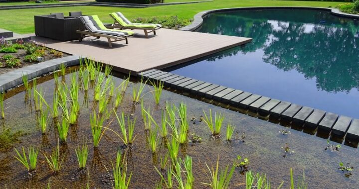 Best Benefits Of Natural Pool Water Purification Systems