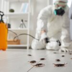 When Unwanted Guests Move In: A Real Look At Modern Pest Control Services